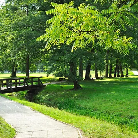 호텔 Vitarium Superior - Terme Krka 4*