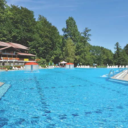 호텔 Vitarium Superior - Terme Krka 4*