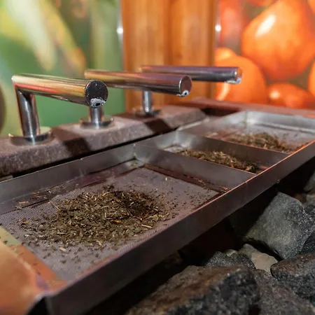 Vitarium Superior - Terme Krka 4* 斯玛杰克托莱塞