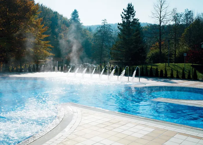 Hotel Vitarium Superior - Terme Krka 4*