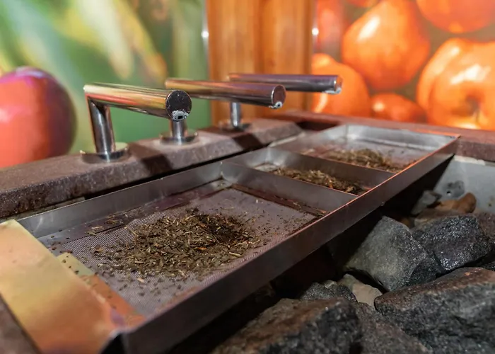 Vitarium Superior - Terme Krka 4* Smarjeske Toplice